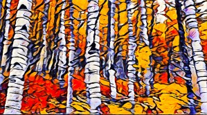 Orange Fall